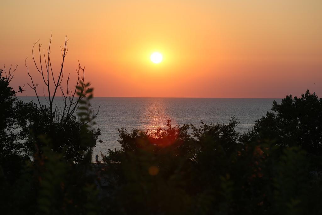 Evergreen Vlas Mamaia Sud Extérieur photo